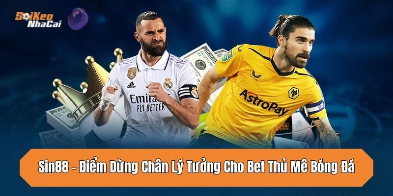 sin88-diem-dung-chan-ly-tuong-cho-bet-thu-me-bong-da