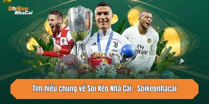 Tìm hiểu chung về Soi Kèo Nhà Cái - Soikeonhacai