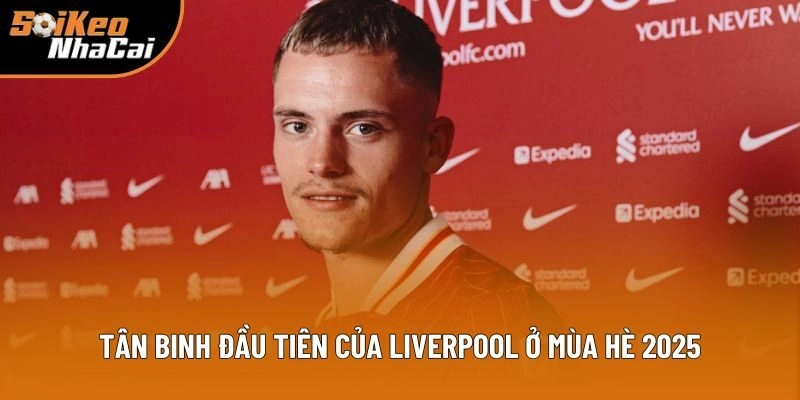 Tân Binh Đầu Tiên Của Liverpool: Soi Kèo Nhà Cái Sẽ Tiết Lộ