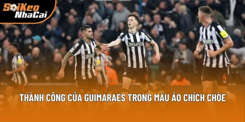 Thành công của Guimaraes trong màu áo Chích Chòe Thành công của Guimaraes trong màu áo Chích Chòe