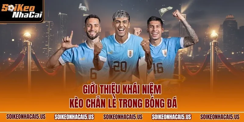 Giới thiệu top hình cược E/O thịnh hành tại Soi kèo nhà cái